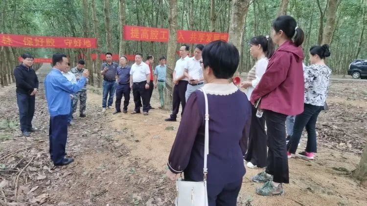 全国割胶冠军张健给各单位学员做标准化胶园建设及割胶技术的经验介绍。.jpg